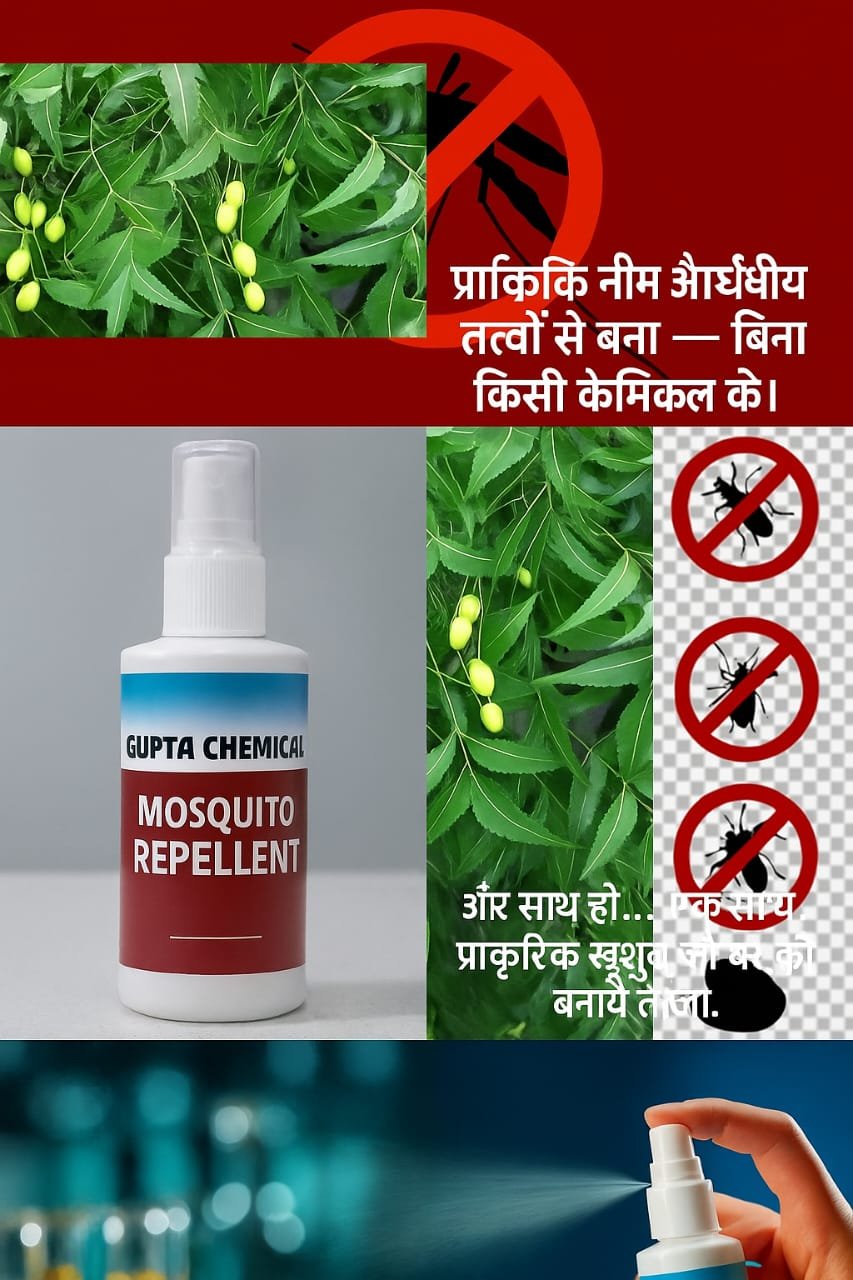 WhatsApp Image 2025-10-24 at 13.10.57